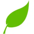 Free Css Templates Free Css Templates