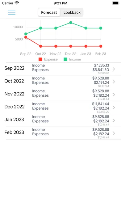 Tangkapan skrin HomeBudget with Sync