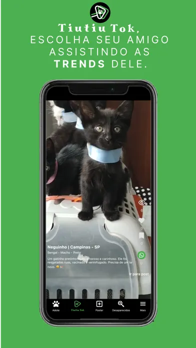 Tiutiu: Adoção de animais Screenshots