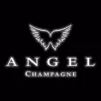 Angel HALO AR Angel HALO AR