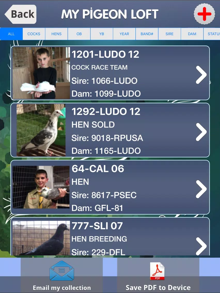 ภาพหน้าจอของ My Pigeon Loft Cloud Edition iPad 