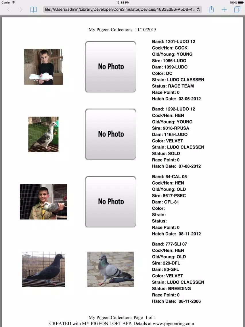 ภาพหน้าจอของ My Pigeon Loft Cloud Edition iPad 