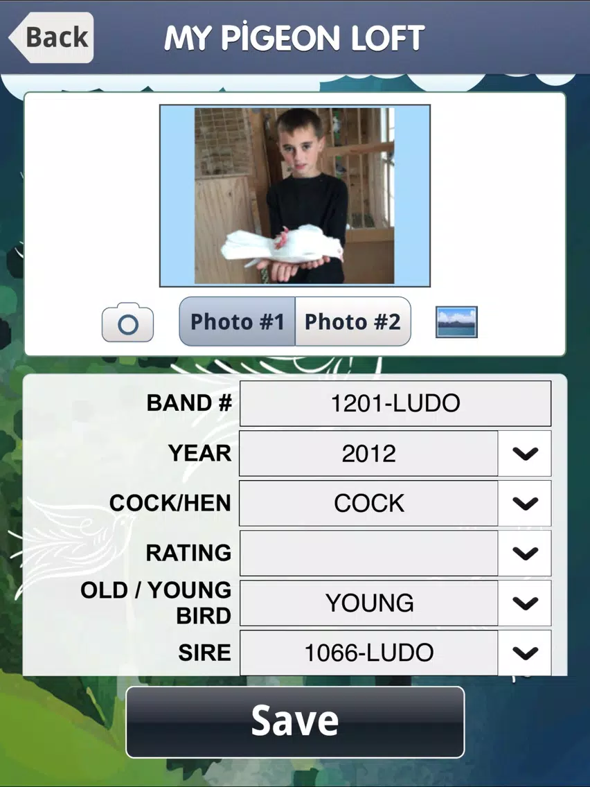 ภาพหน้าจอของ My Pigeon Loft Cloud Edition iPad 