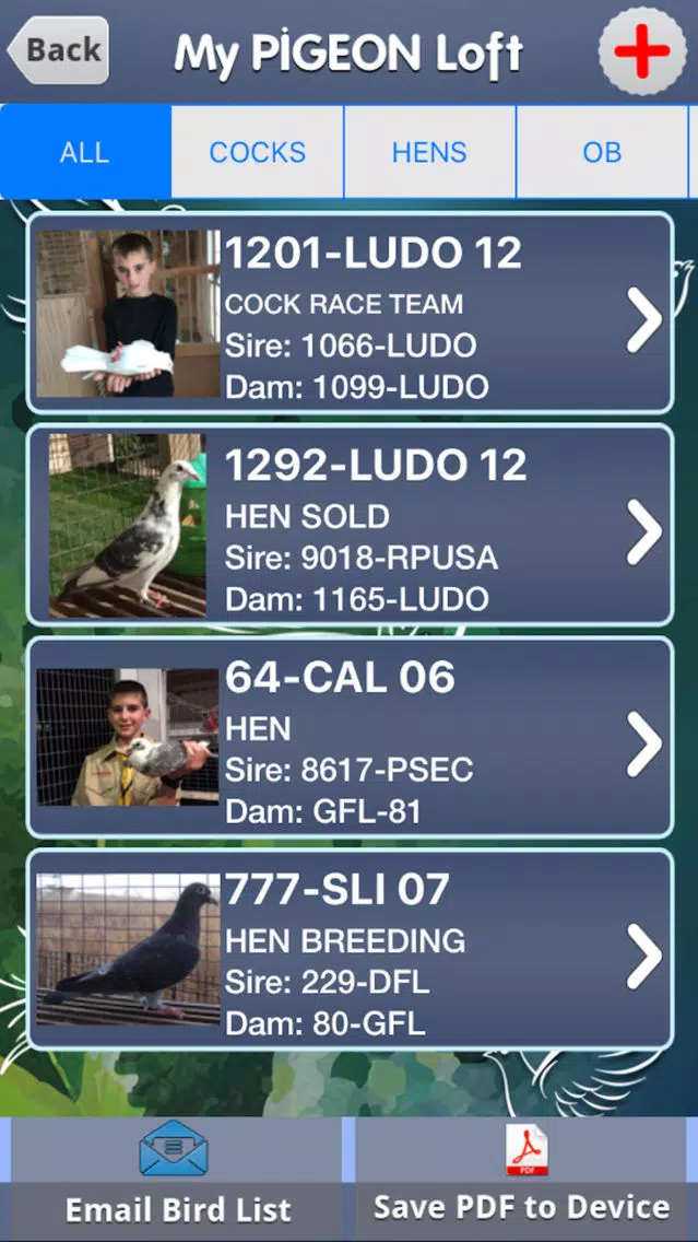 ภาพหน้าจอของ My Pigeon Loft Cloud Edition