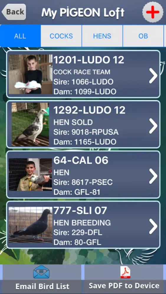 Captures d'écran de My Pigeon Loft Cloud Edition