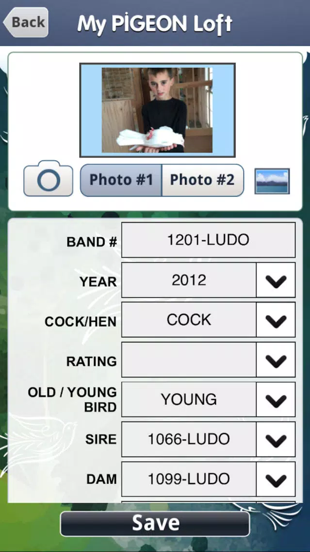ภาพหน้าจอของ My Pigeon Loft Cloud Edition