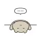 Lazy Gom Gom ENG2