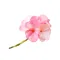 Watercolor Flower Sticker