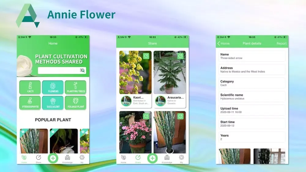 Capturas de pantalla de Annie Flower