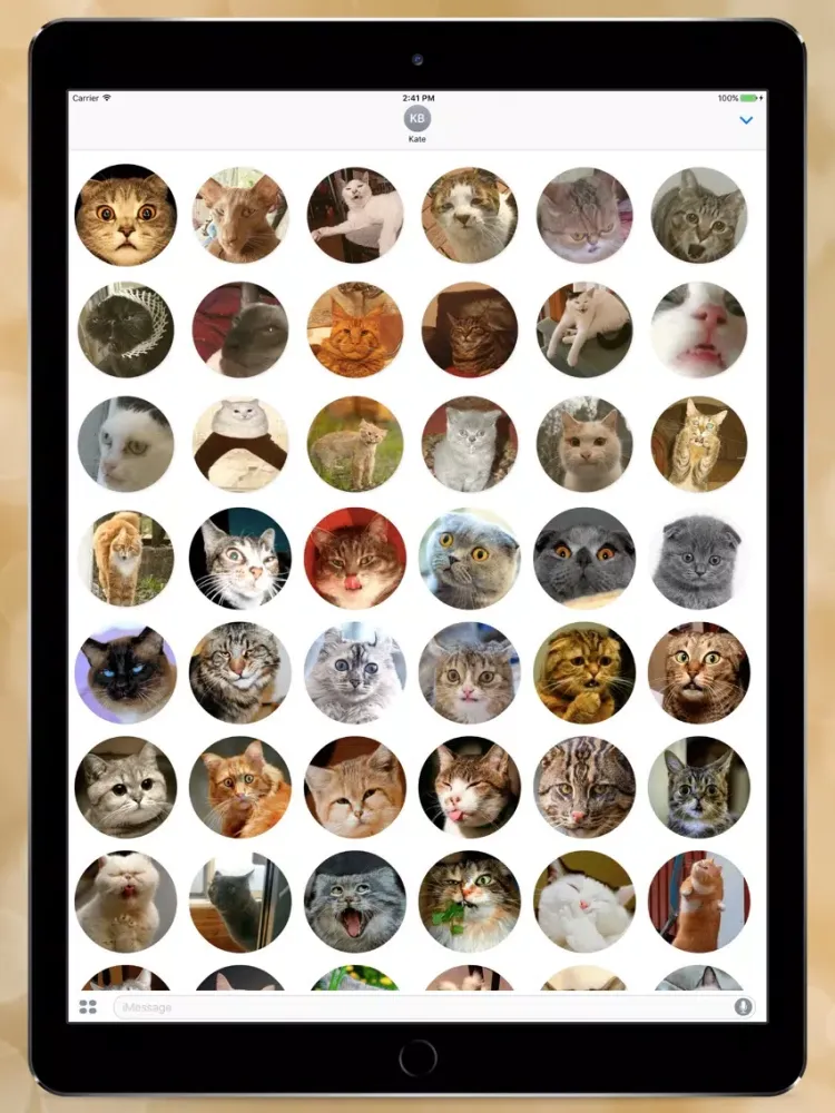 Super Meow Stickers iPad  سکرین شاٹس