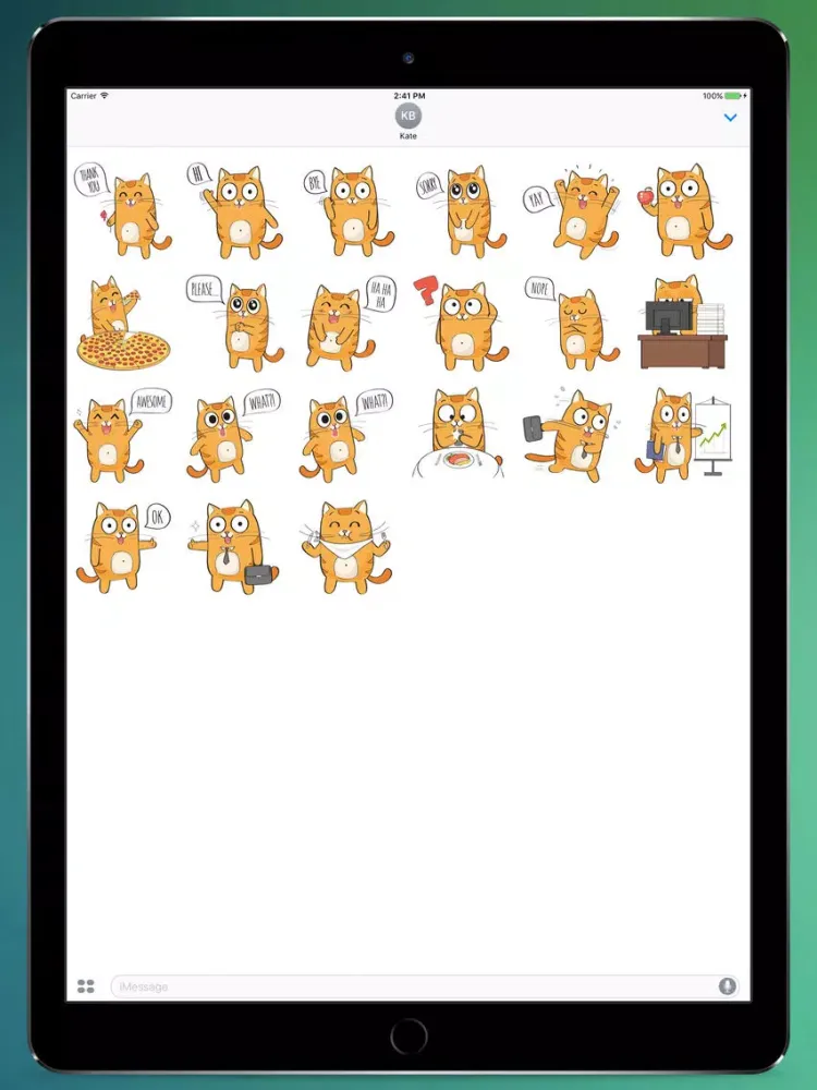 Talking Kitty Stickers iPad 应用截图