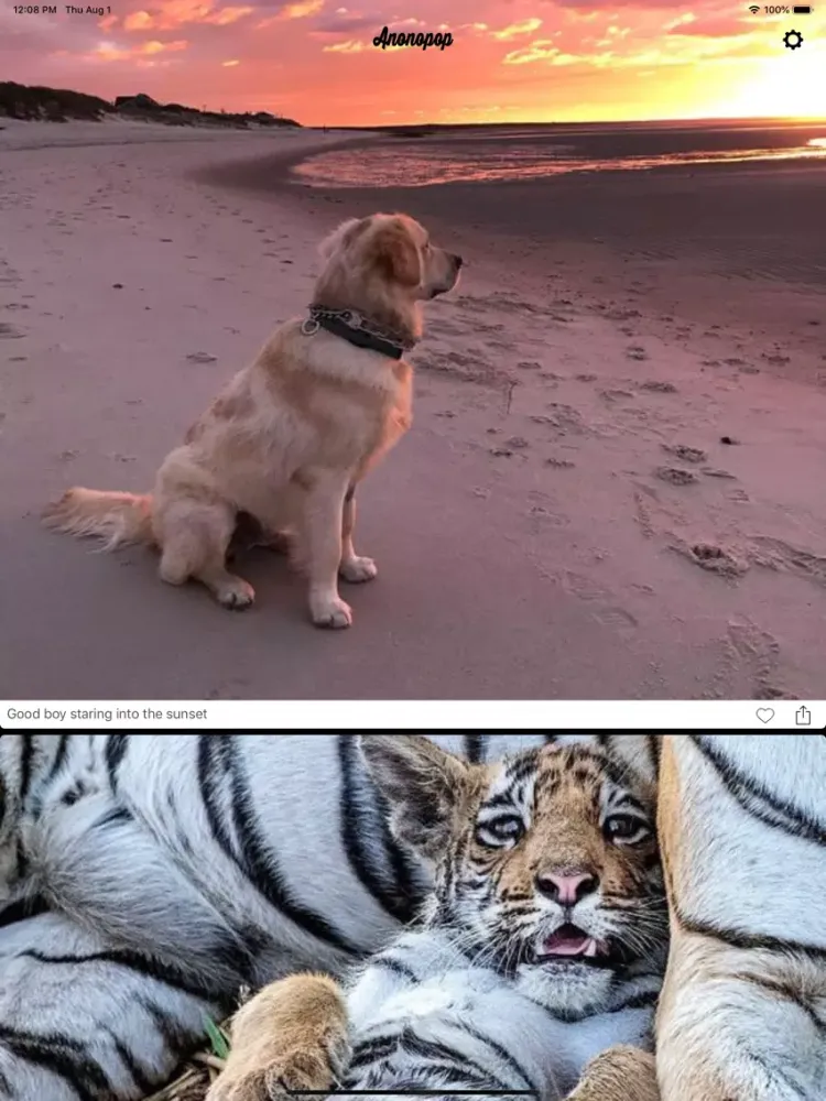 Screenshot di Anonopop: Aww Cute Pet Photos iPad 
