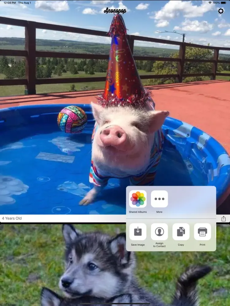 Screenshot di Anonopop: Aww Cute Pet Photos iPad 