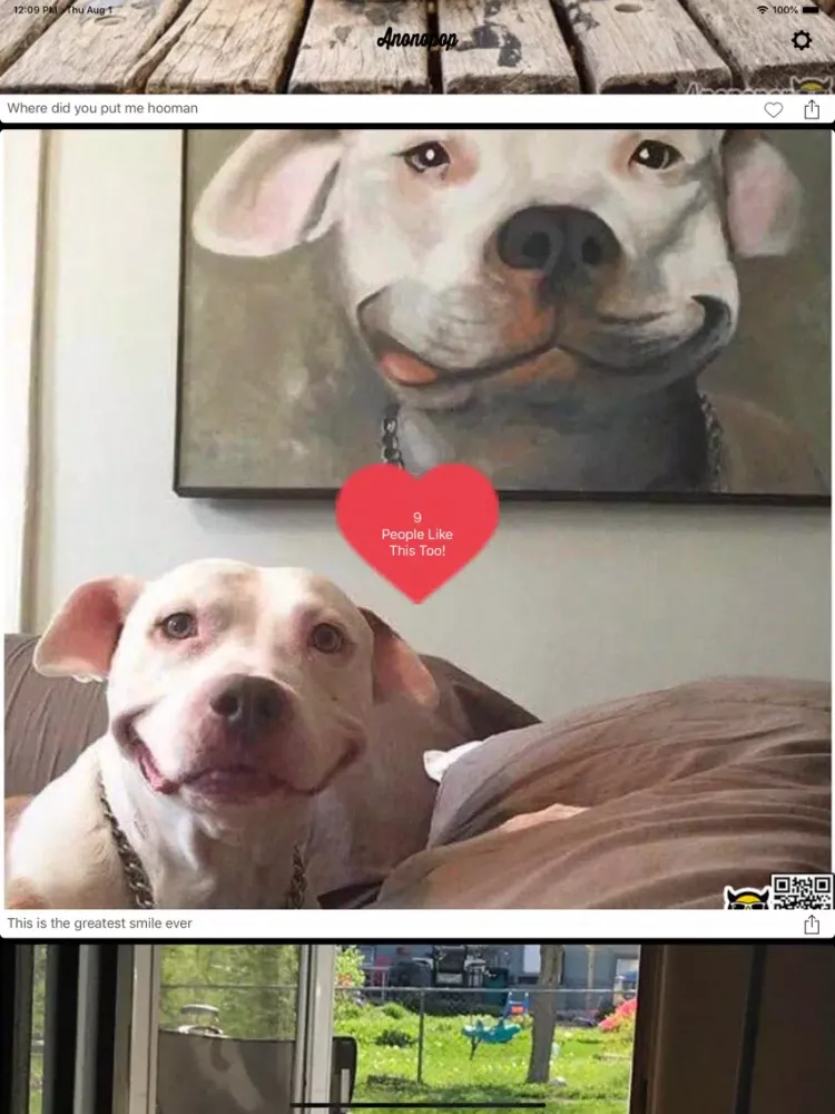 Screenshot di Anonopop: Aww Cute Pet Photos iPad 