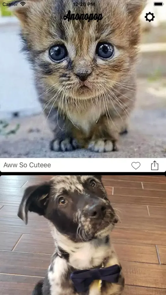 Screenshot di Anonopop: Aww Cute Pet Photos