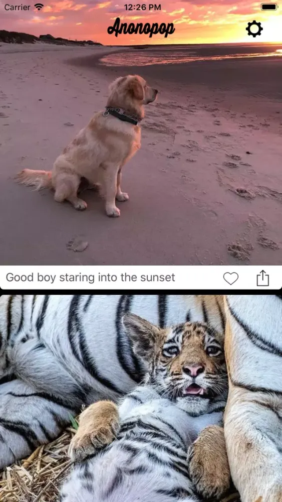 Screenshot di Anonopop: Aww Cute Pet Photos