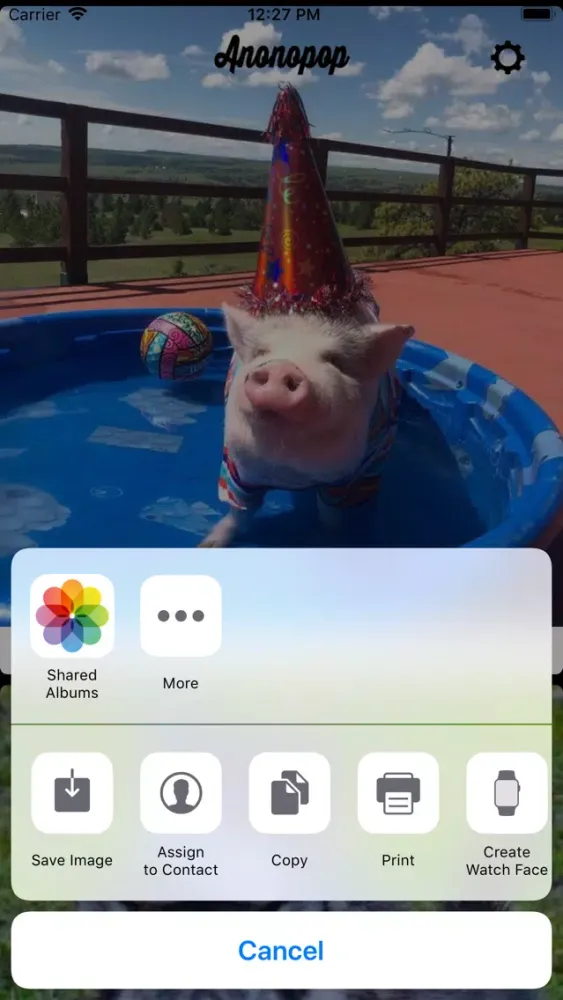 Screenshot di Anonopop: Aww Cute Pet Photos