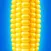 Corn Twister