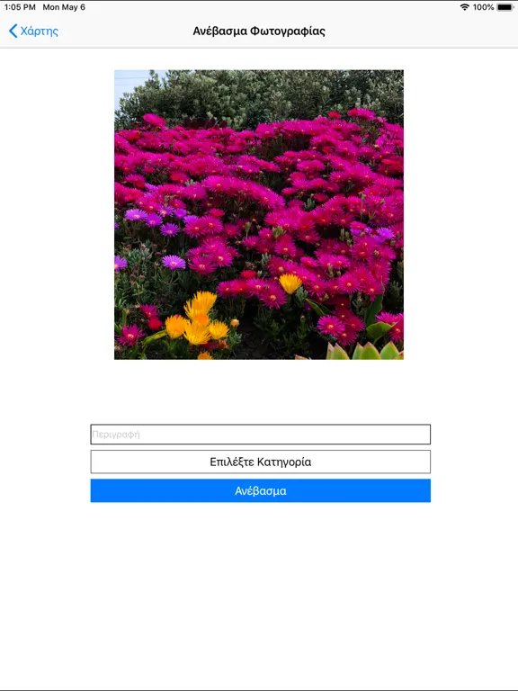 Kavala GetApp iPad 應用截圖