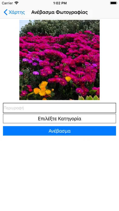 Kavala GetApp應用截圖