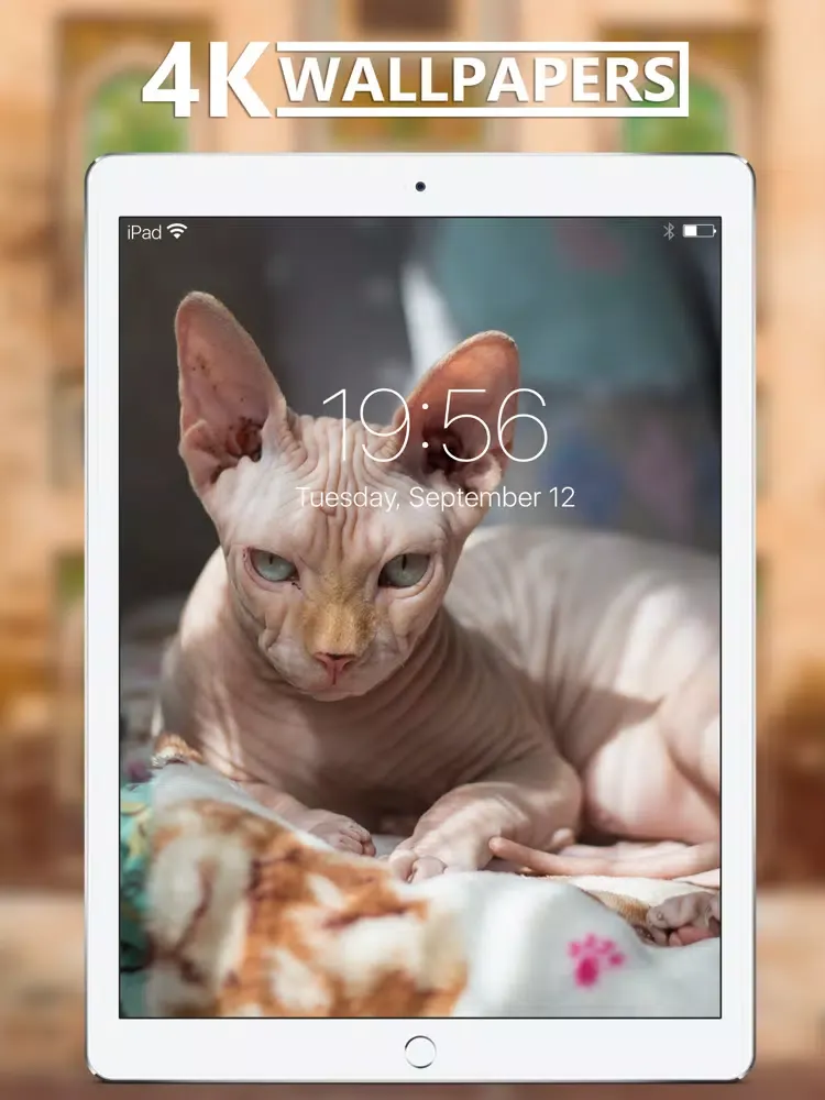 4K Wallpapers Collection iPad  Ekran Görüntüleri