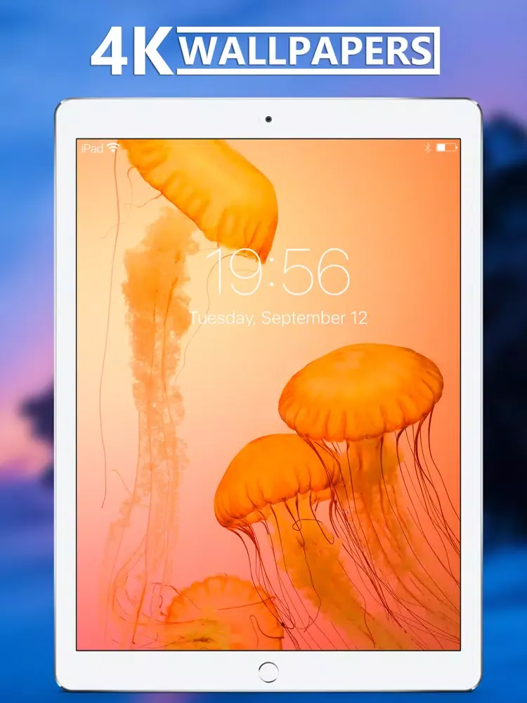 4K Wallpapers Collection iPad  Ekran Görüntüleri