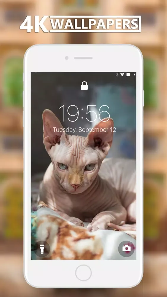 4K Wallpapers Collection Ekran Görüntüleri
