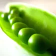 Pregnancy Food Guide
