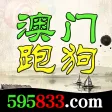 澳门跑狗 澳门跑狗