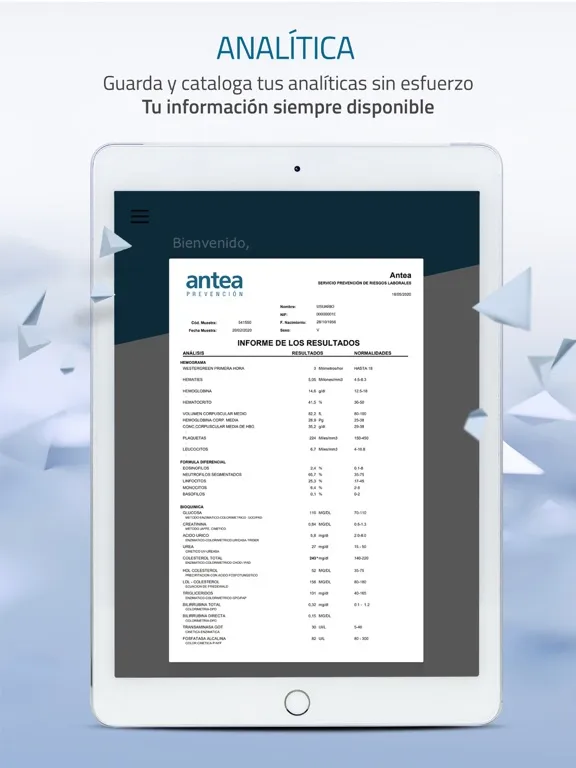 Antea Trabajador iPad 应用截图