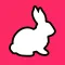 RabbitHole: Learn With AI
