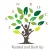 EBAN ROCK School