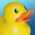 Rubber Duck