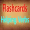 Flashcards - Helping Verbs