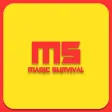 Magic Survival