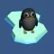 Penguin can fly