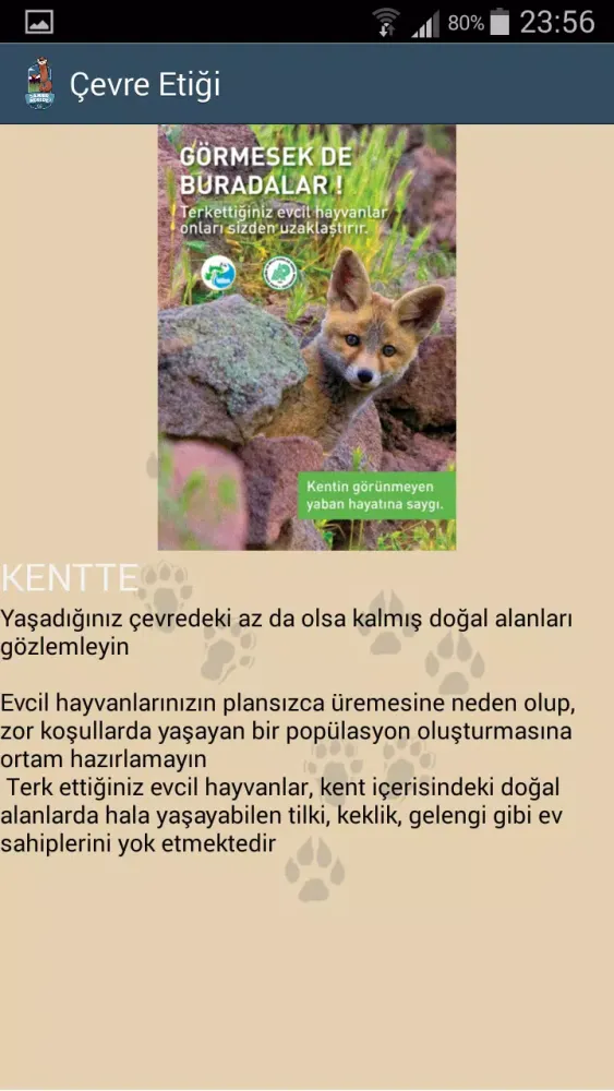 Samur Nerede Ekran Görüntüleri