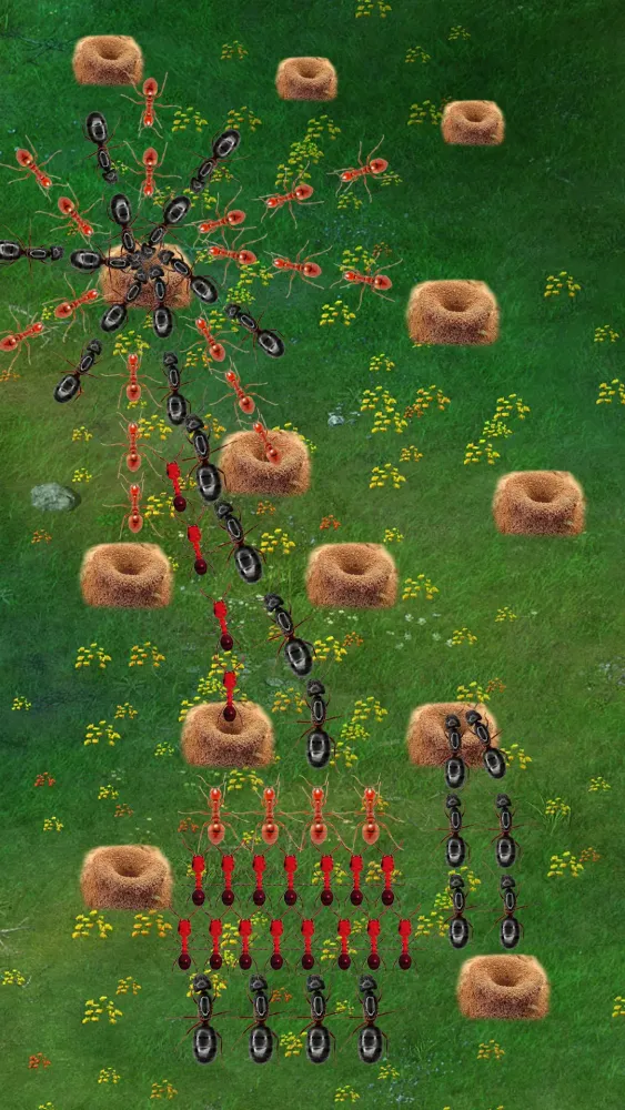 تصاویر Ants Underground Kingdom Life
