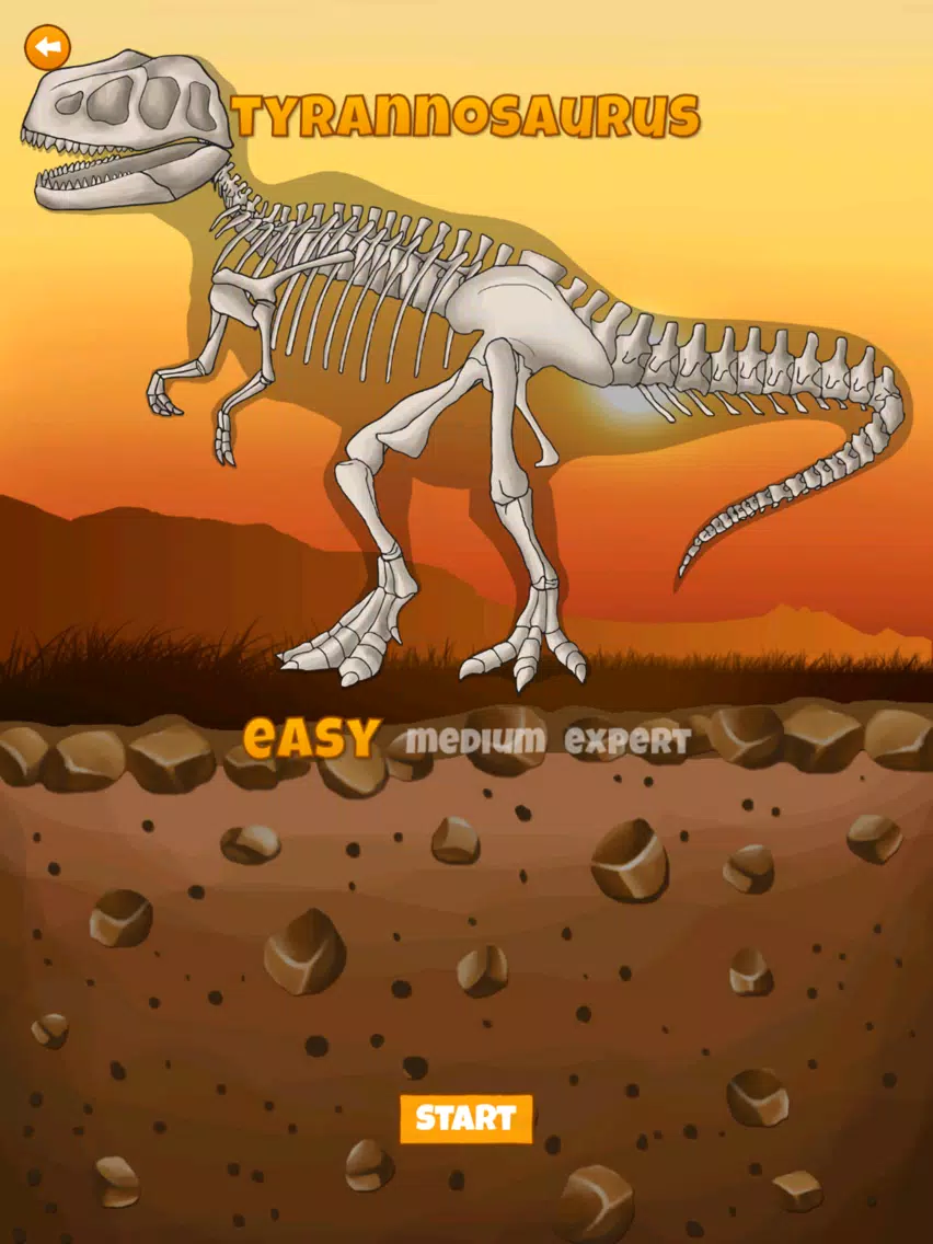 Скриншоты Dino Bones Puzzle iPad 