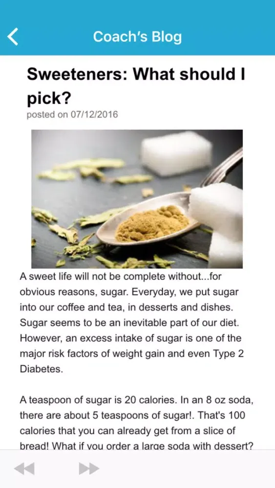 Tangkapan skrin The Parisian Diet