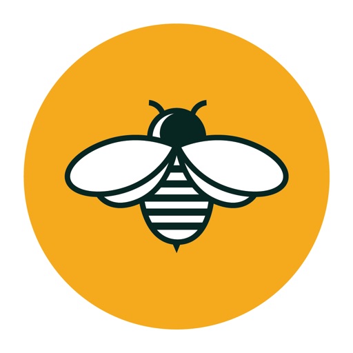 Bee VPN