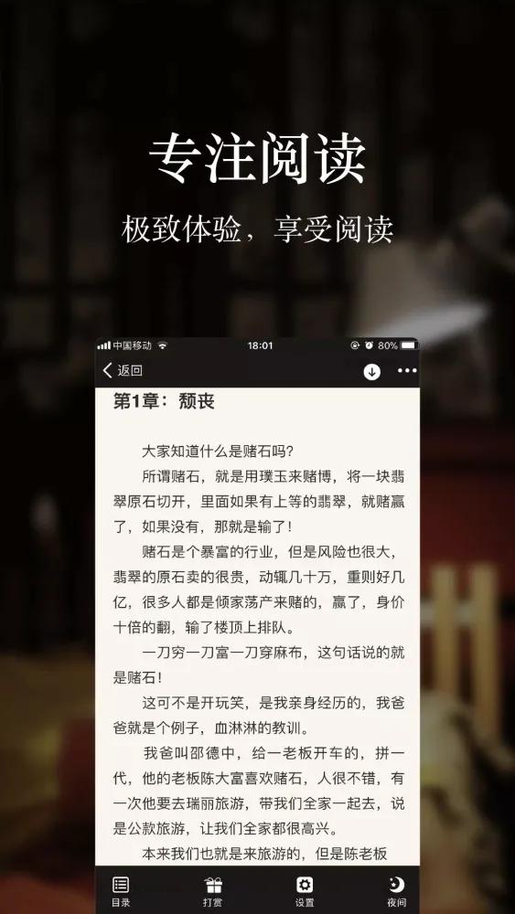 Capturas de pantalla de 暗夜文学