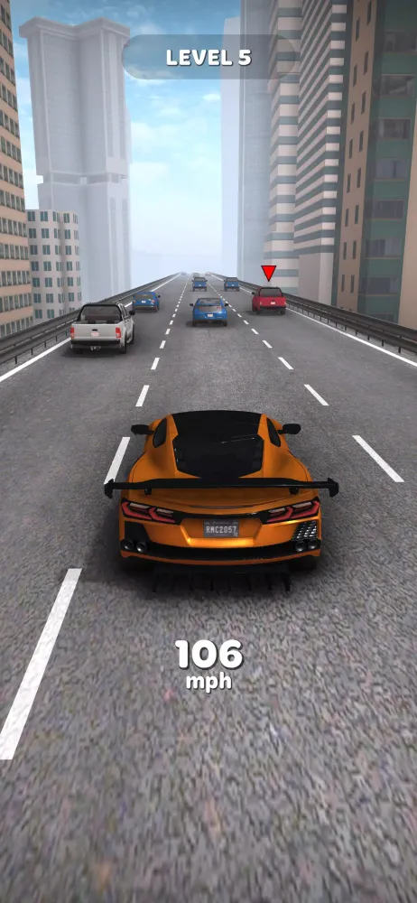 Highway Madness应用截图