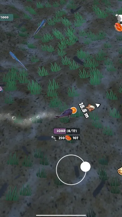 تصاویر Piranha Universe