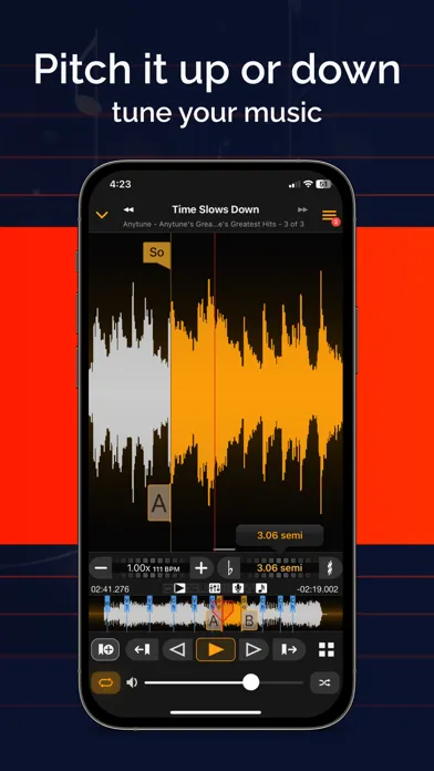 Tangkapan skrin Anytune Pro+