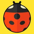 みんなの昆虫カード
