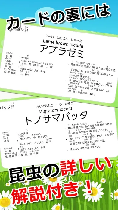 تصاویر みんなの昆虫カード