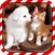 Dog Love Cat Puzzle