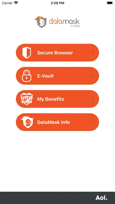 Datamask for AOL Ekran Görüntüleri