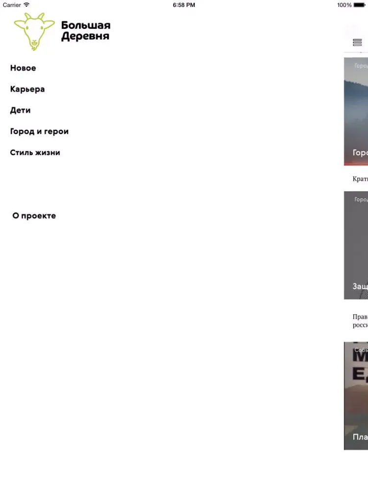 Capturas de tela do Сайт Большая Деревня iPad 